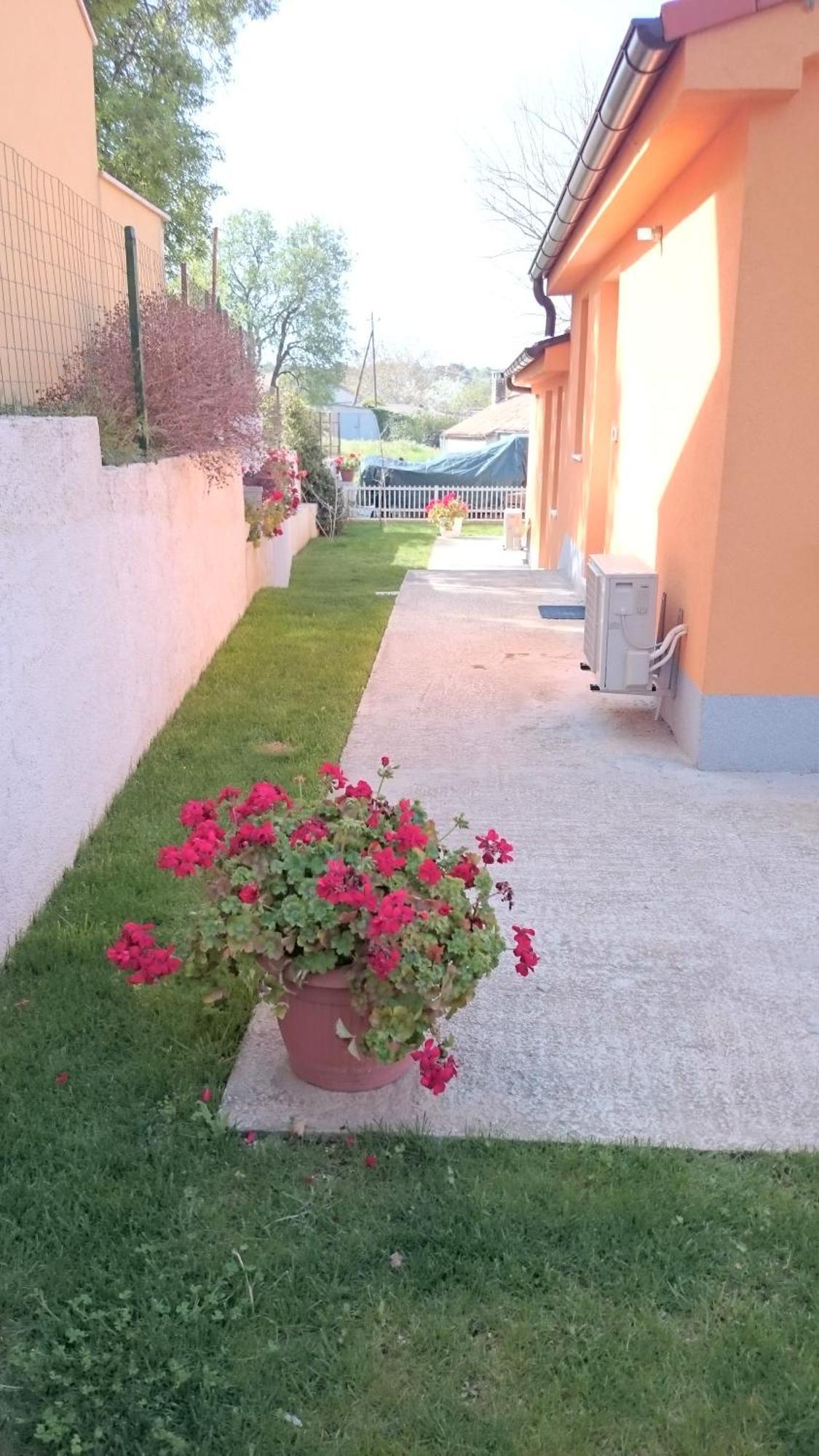 Apartments Blanka&Marina Pula Bagian luar foto